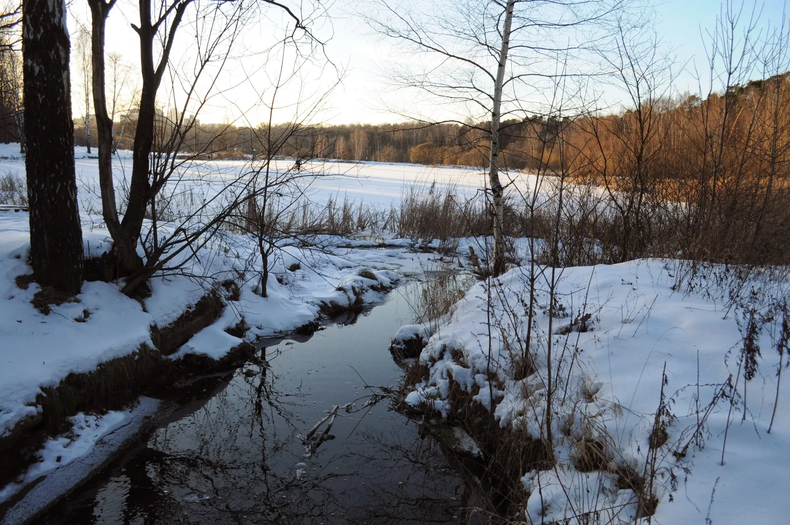 Photo from 15 December 2013
