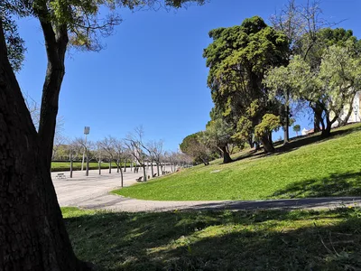 Photo from 20 March 2019