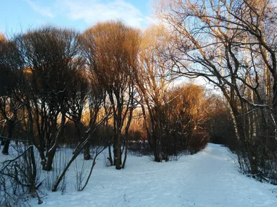 Photo from 7 January 2015