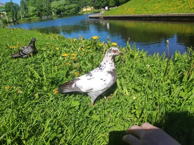 Photo from 1 June 2019