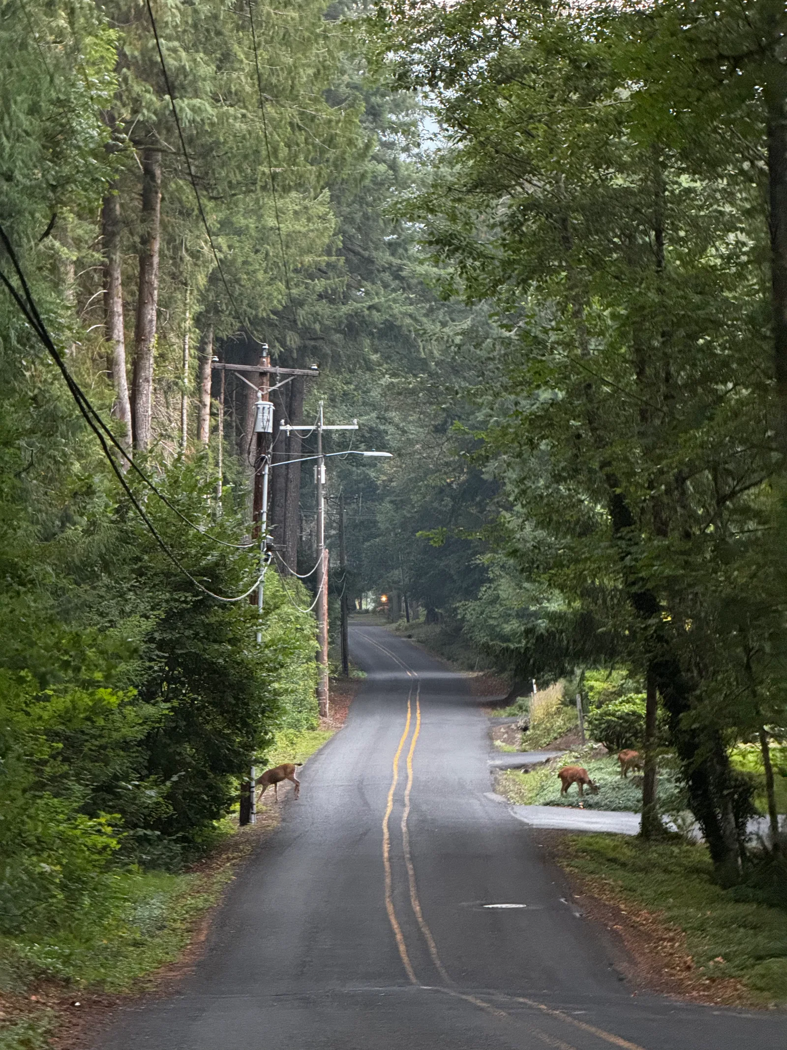 Mount Hood Village, United States — 5 September 2024