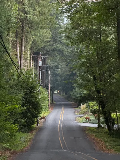 Mount Hood Village, United States — 5 September 2024