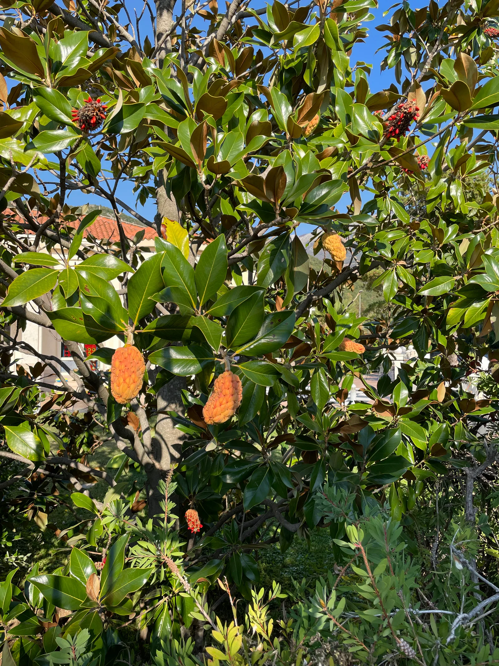Budva, Montenegro — 31 October 2021
