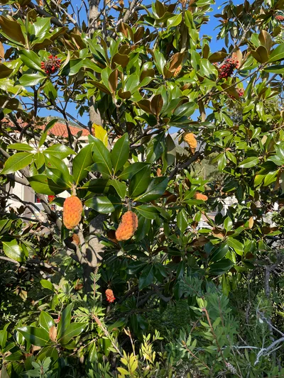 Budva, Montenegro — 31 October 2021