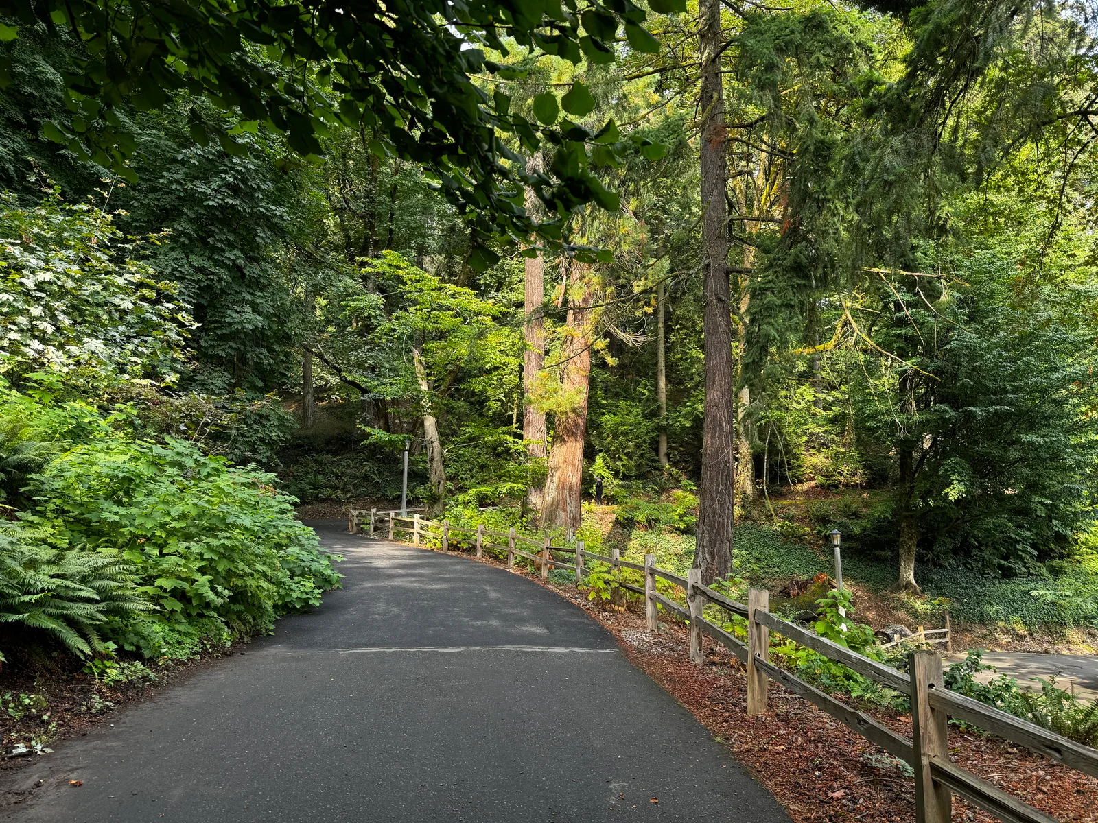 Portland, United States — 24 August 2024
