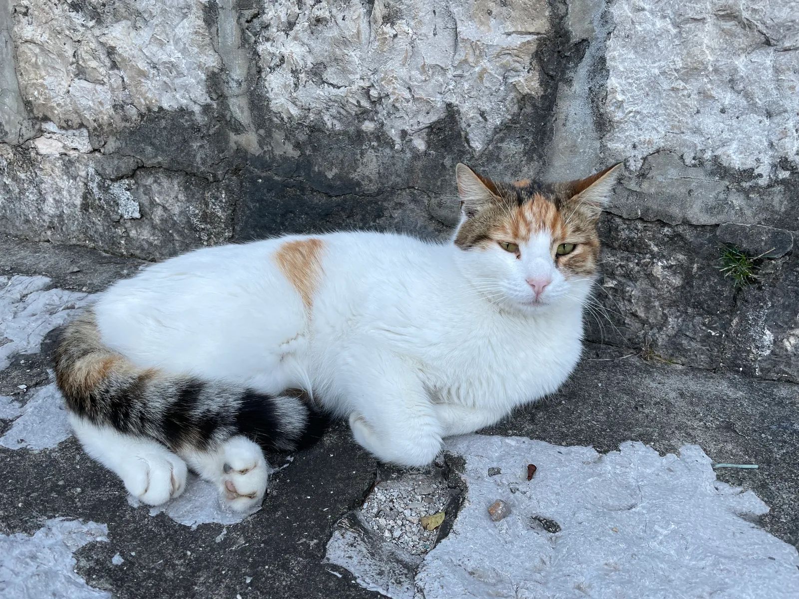 Kotor, Montenegro — 2 January 2022