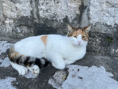 Kotor, Montenegro — 2 January 2022