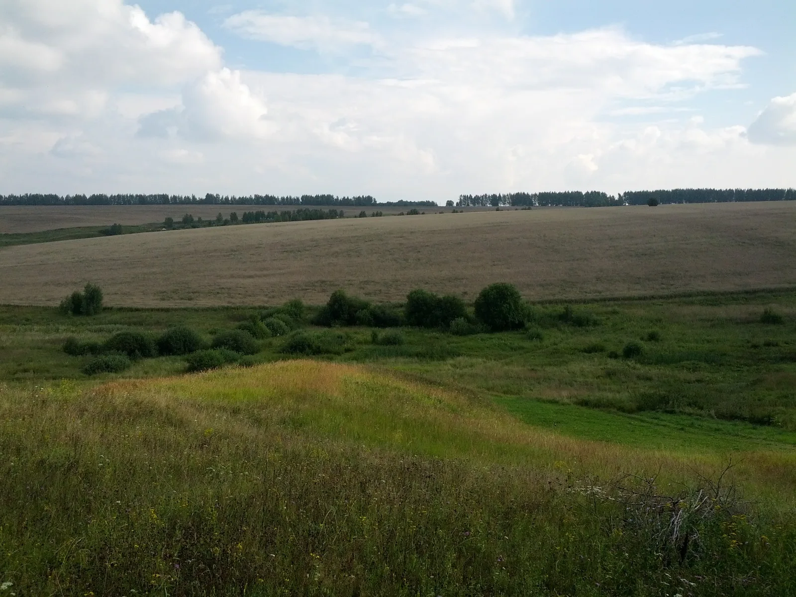Photo from 30 July 2013