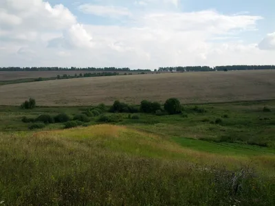 Photo from 30 July 2013