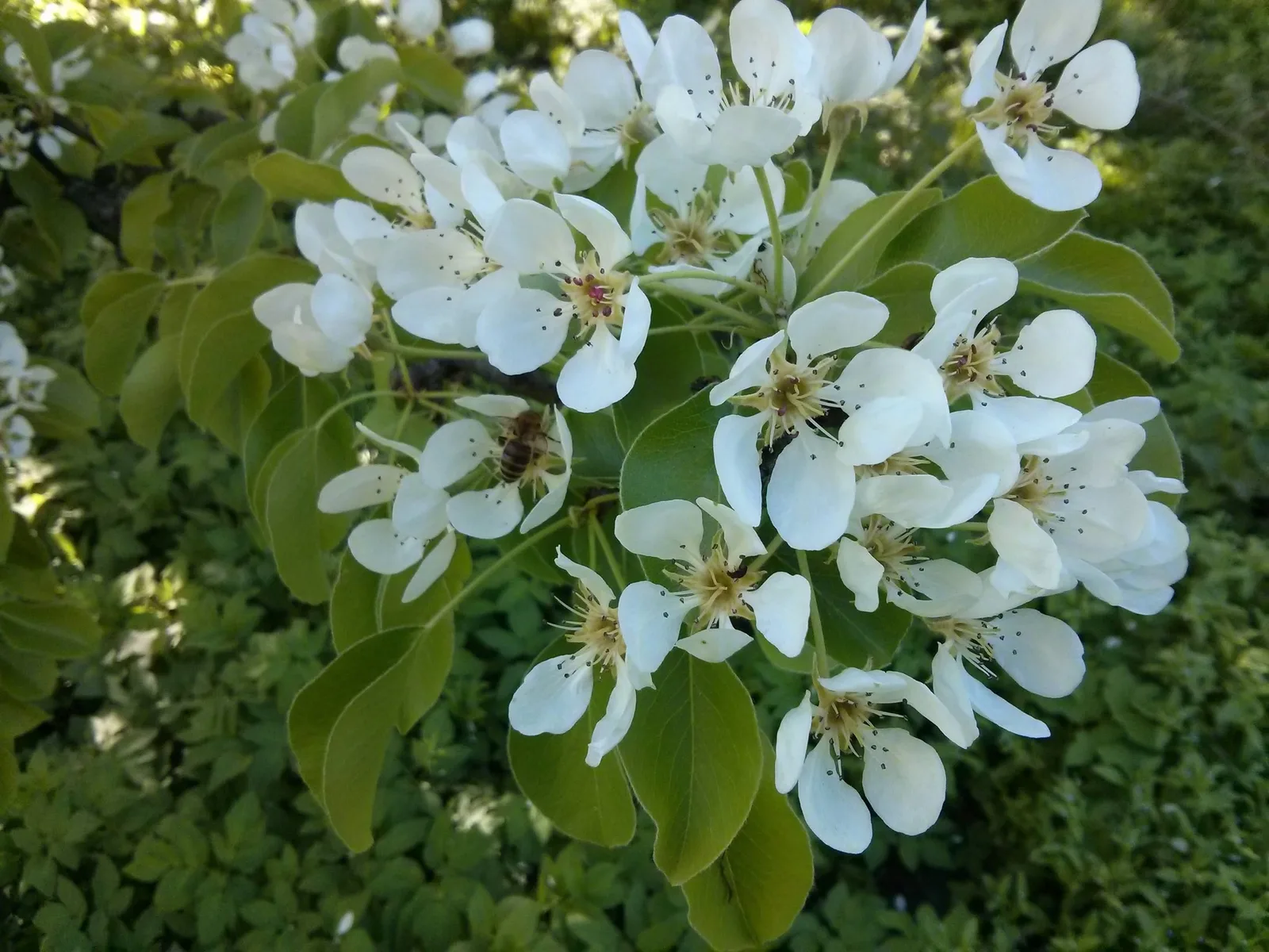 Photo from 9 May 2014