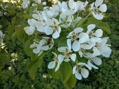 Photo from 9 May 2014
