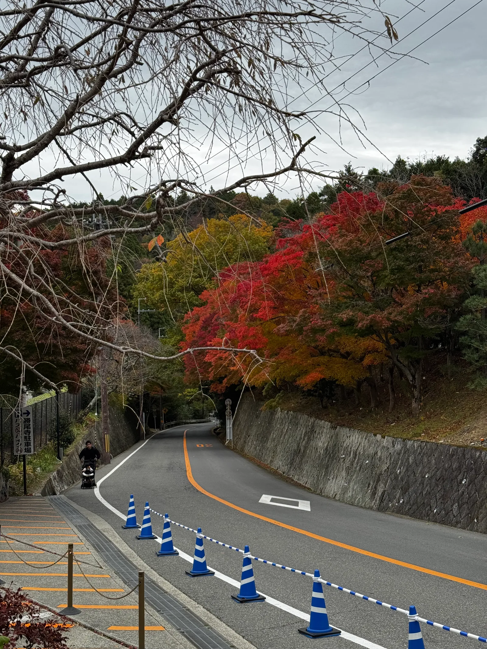 Minoh, Japan — 26 November 2024