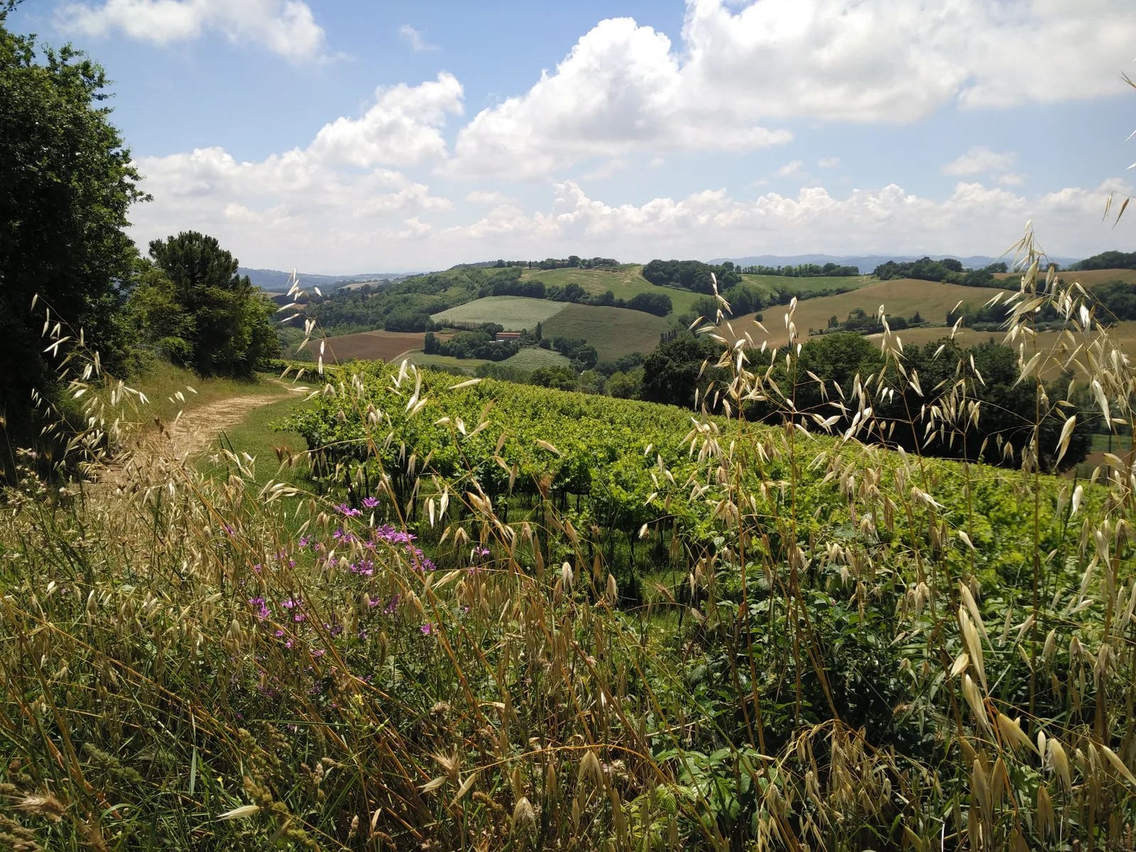 Gradara, Italy — 13 June 2016