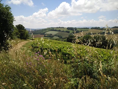 Gradara, Italy — 13 June 2016