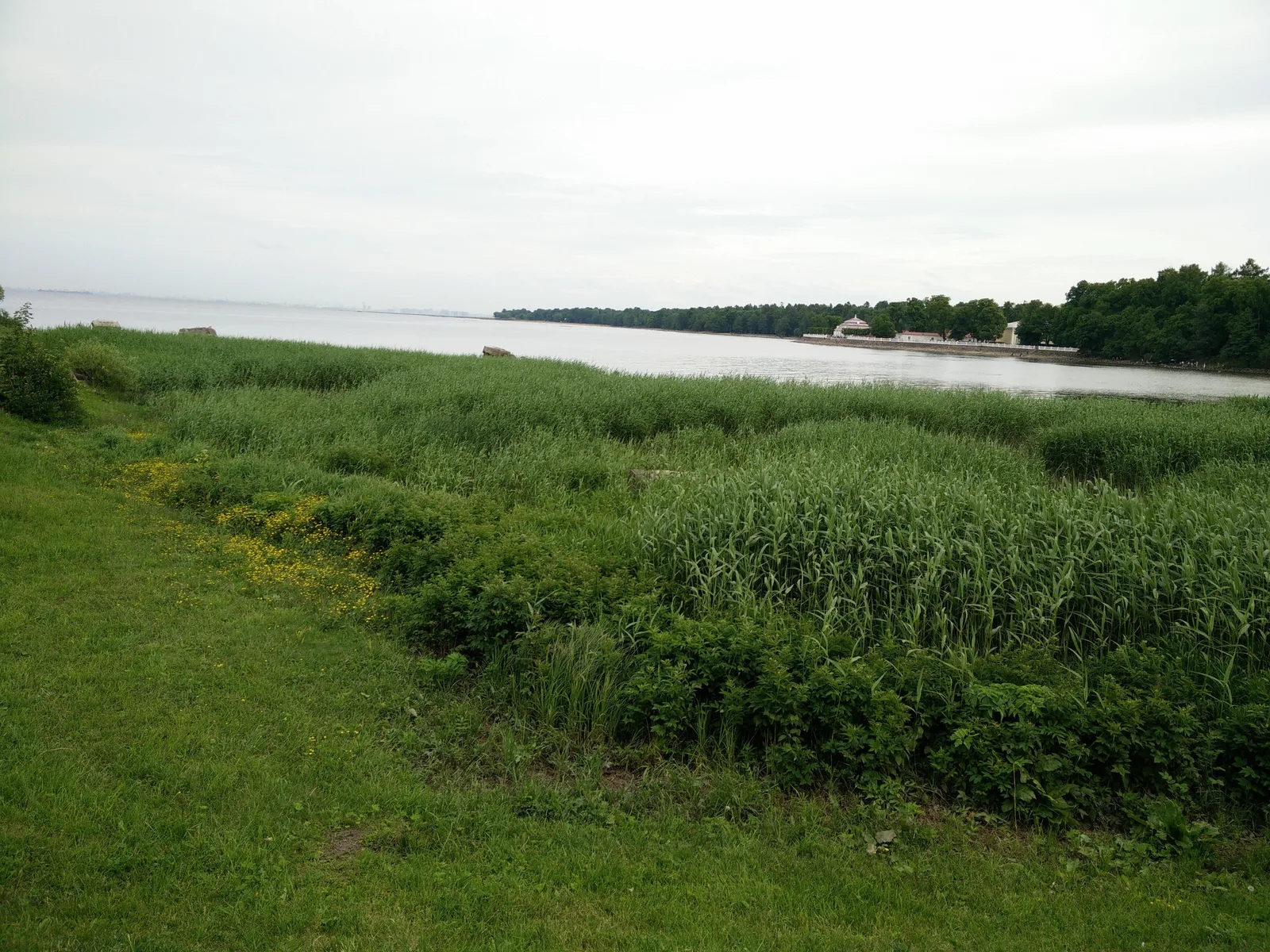 Peterhof, Russia — 14 June 2015