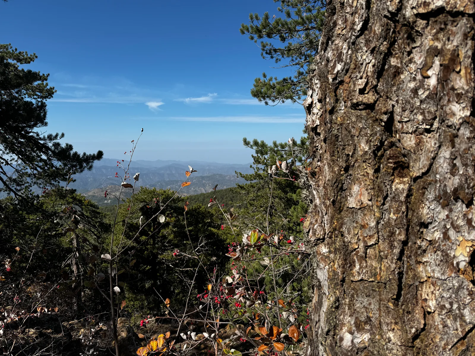 Tróodos, Cyprus — 29 October 2023