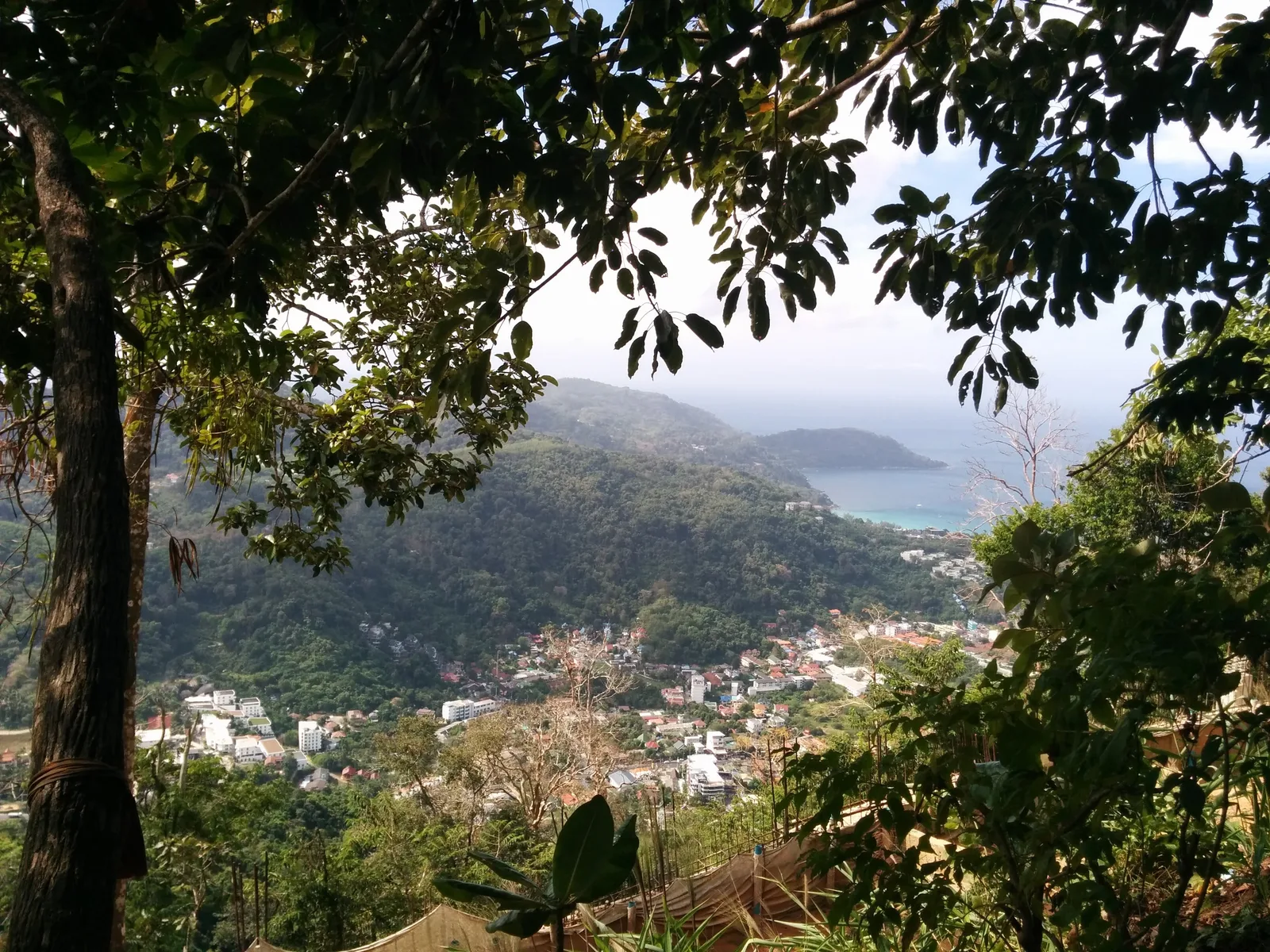 Photo from 3 February 2016