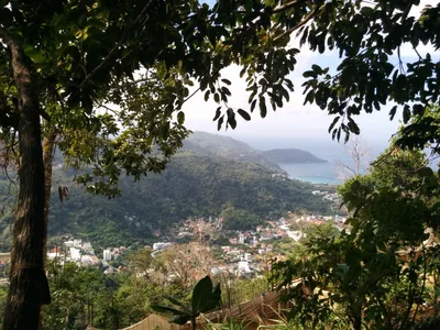 Photo from 3 February 2016