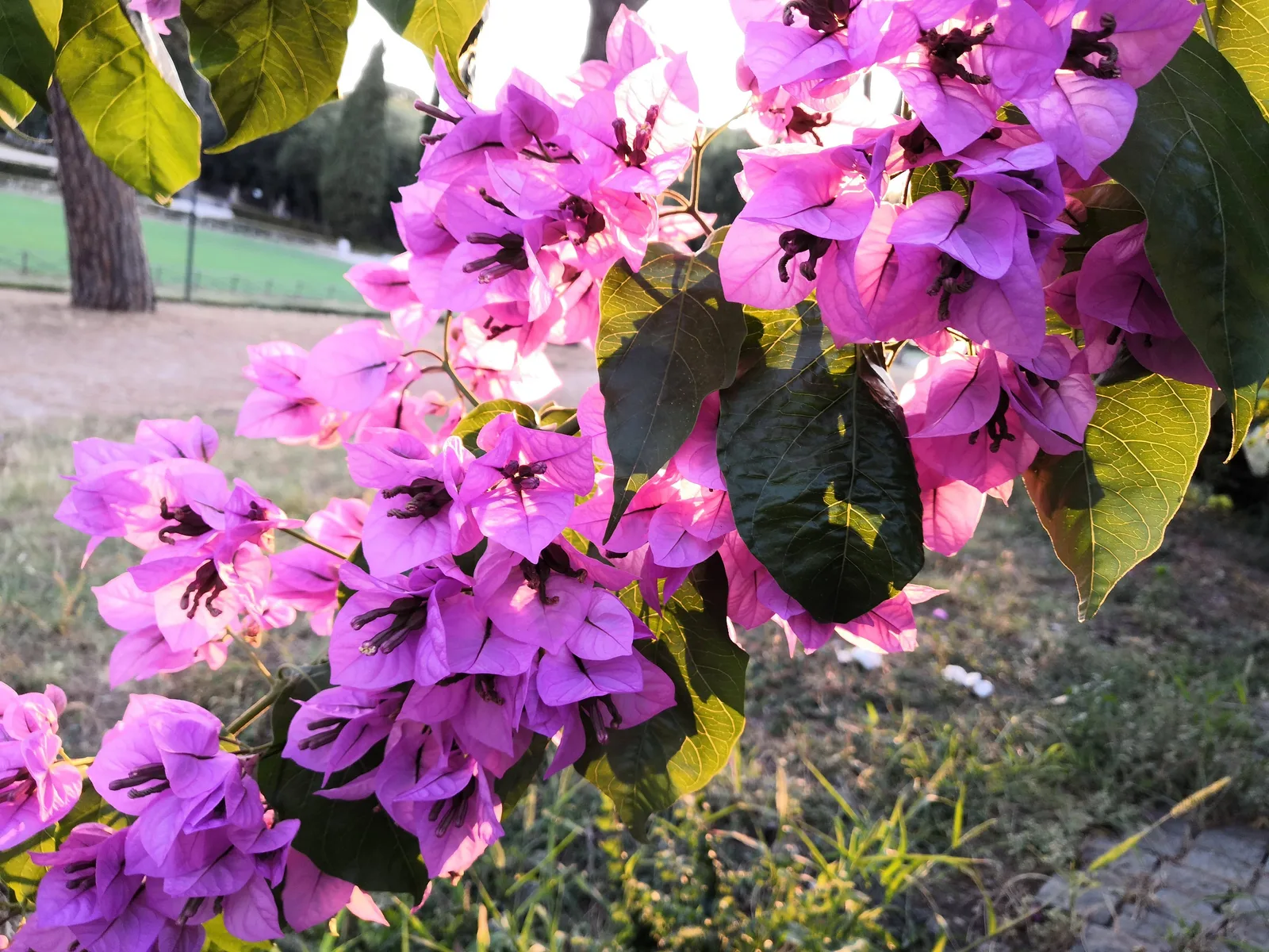 Photo from 19 July 2019