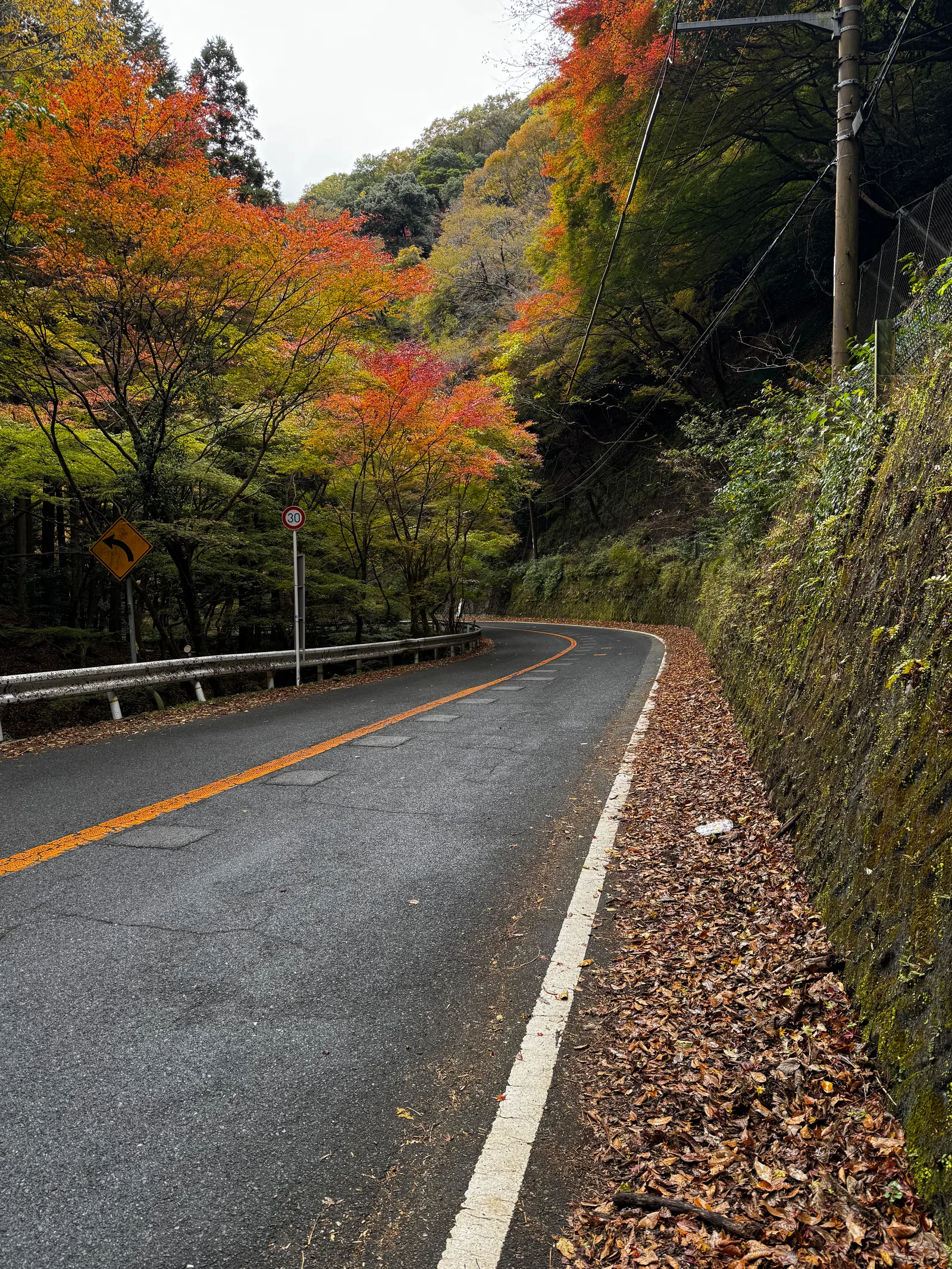 Minoh, Japan — 26 November 2024