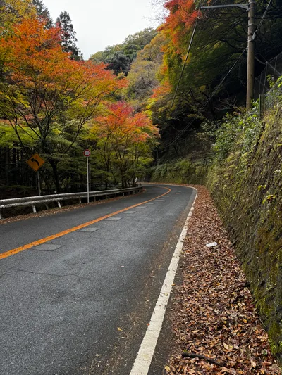 Minoh, Japan — 26 November 2024