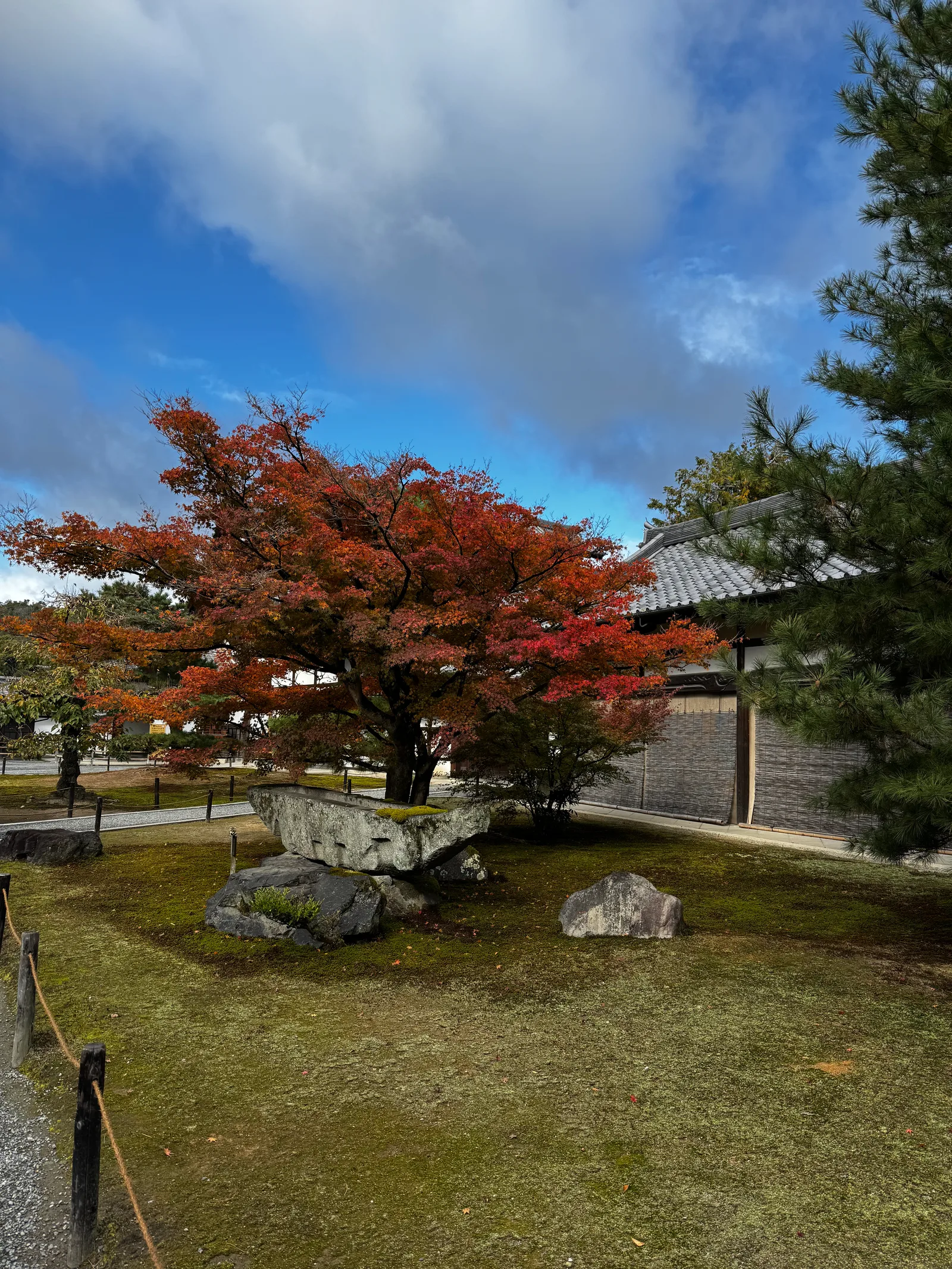 Kamigyō-ku, Japan — 24 November 2024