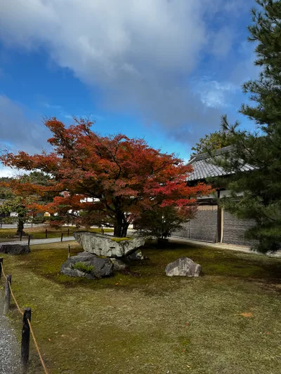 Kamigyō-ku, Japan — 24 November 2024