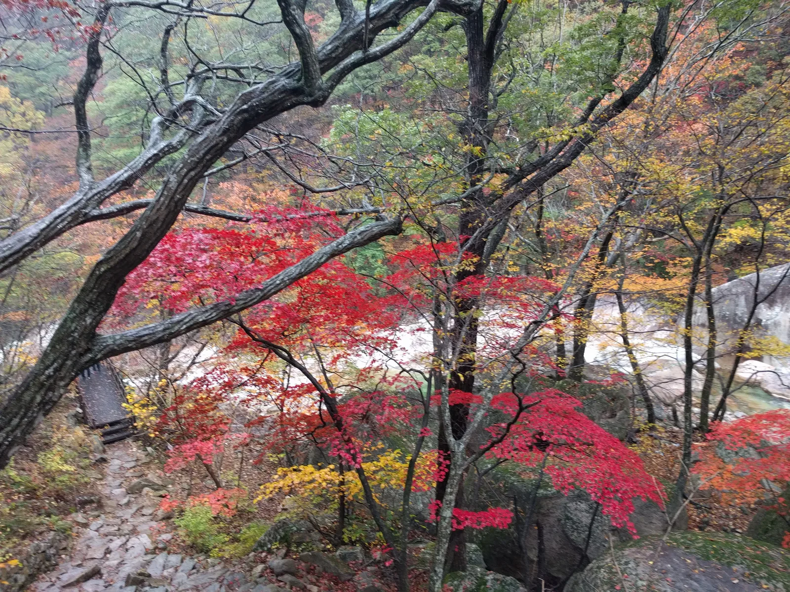 Sokcho, South Korea — 21 October 2016