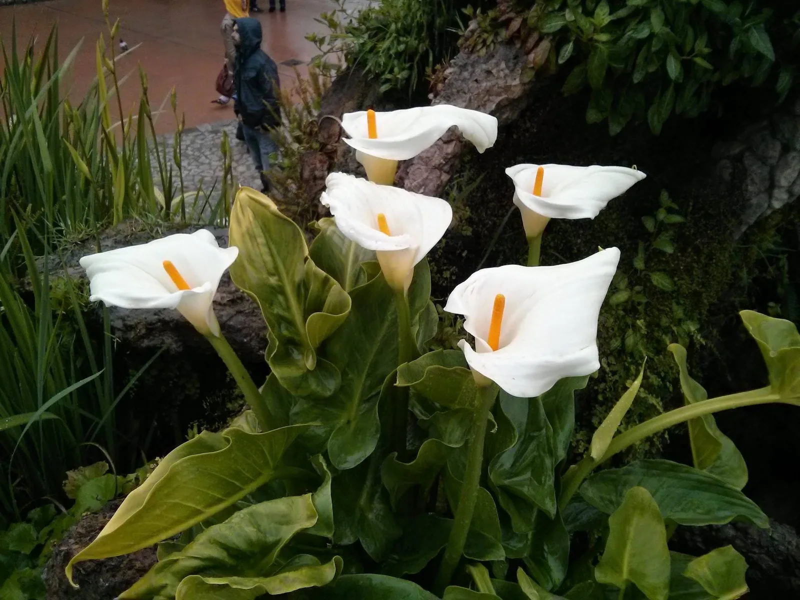 Photo from 30 March 2014