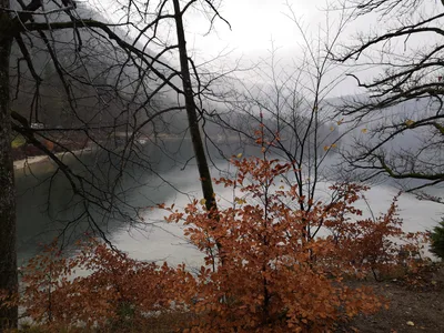 Schwangau, Germany — 8 November 2018