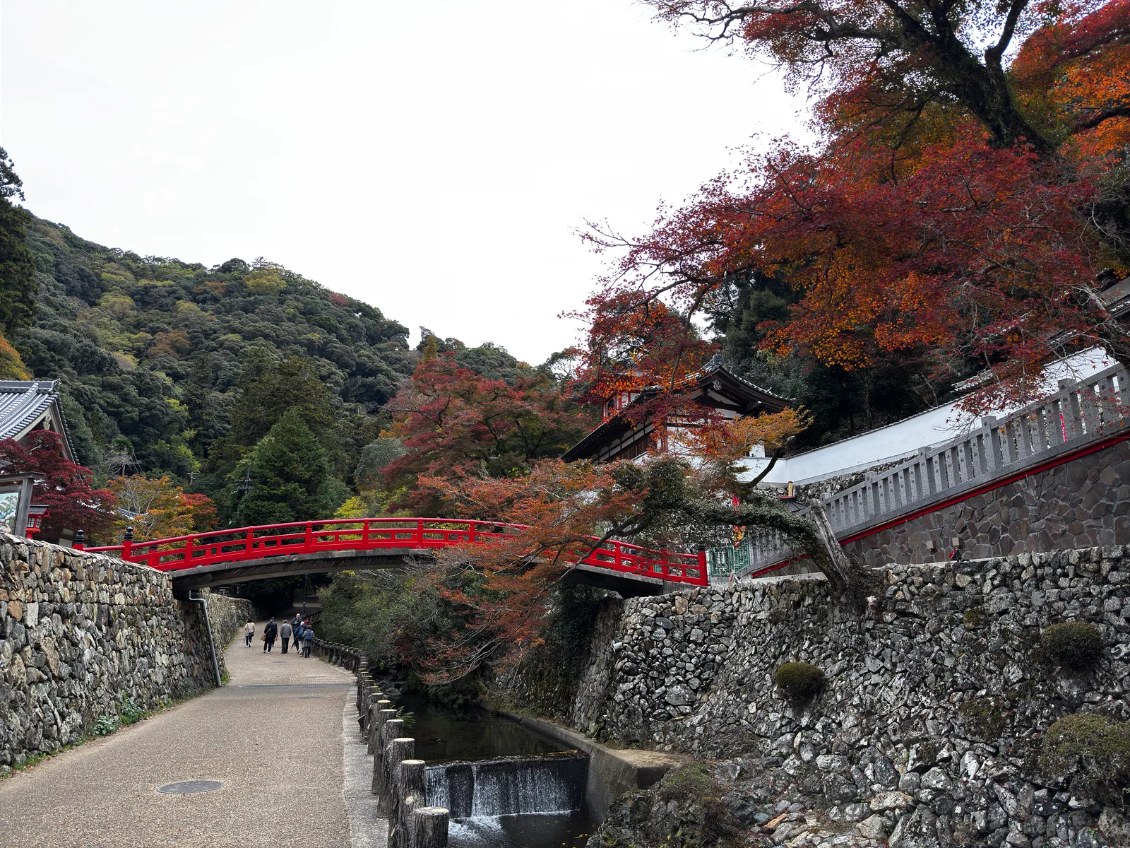 Minoh, Japan — 26 November 2024
