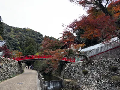 Minoh, Japan — 26 November 2024