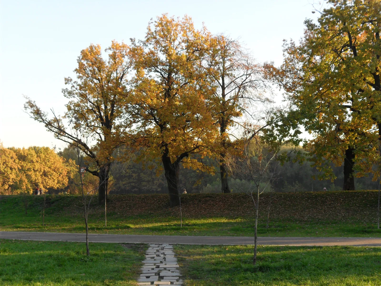 Photo from 10 October 2010