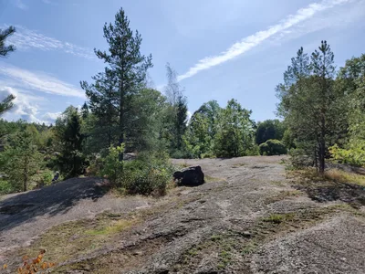 Photo from 25 August 2019