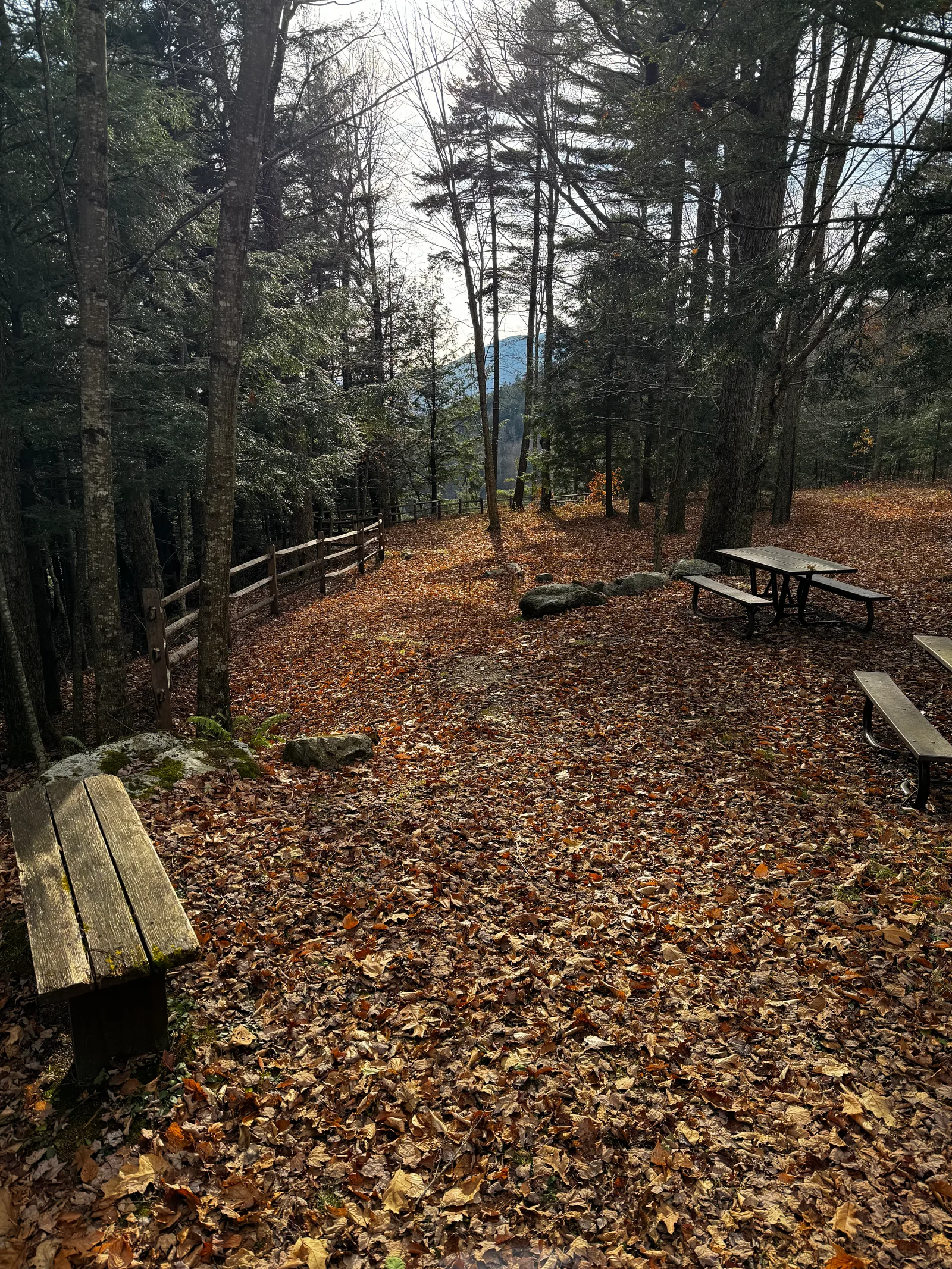 Danby, United States — 13 November 2023
