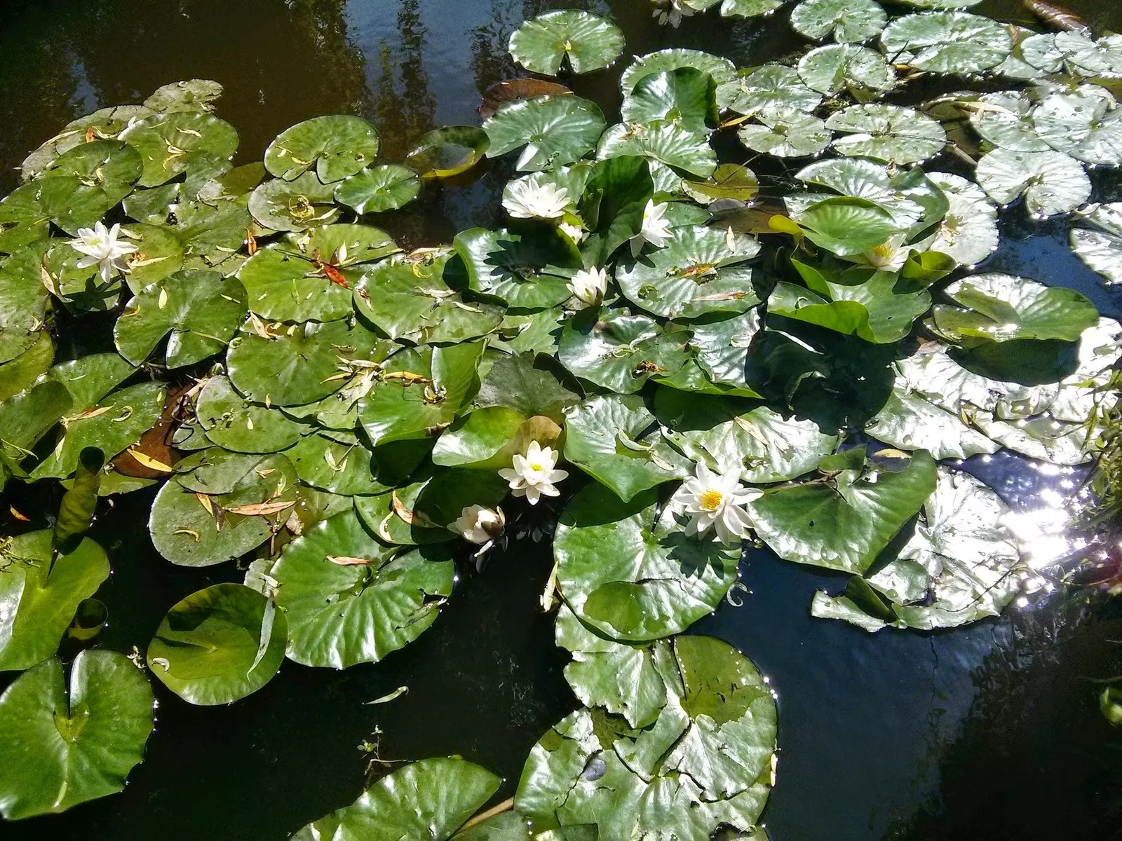 Photo from 10 June 2014