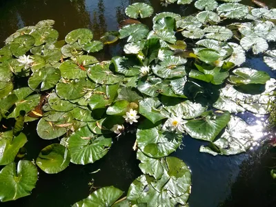 Photo from 10 June 2014