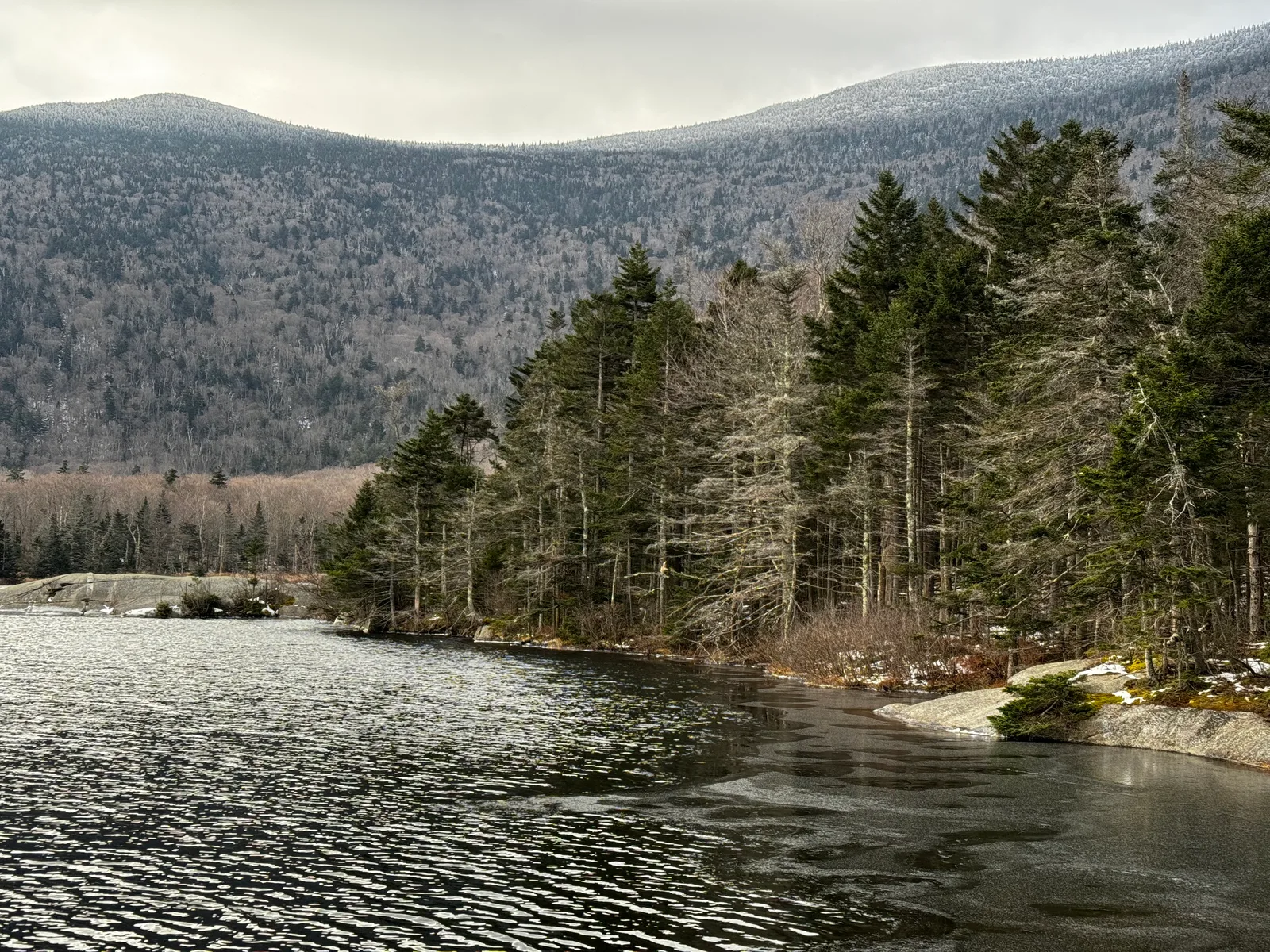 Woodstock, United States — 12 November 2023