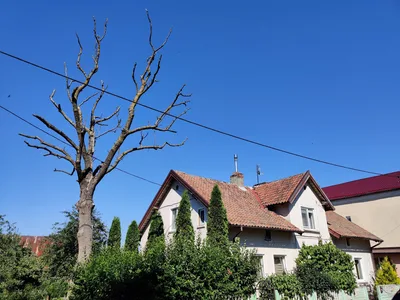 Nida, Lithuania — 18 July 2020