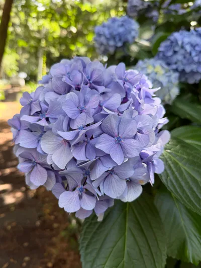 Heda, Japan — 18 June 2026