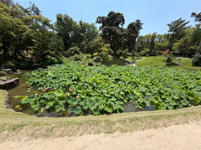Okayama, Japan — 12 June 2026