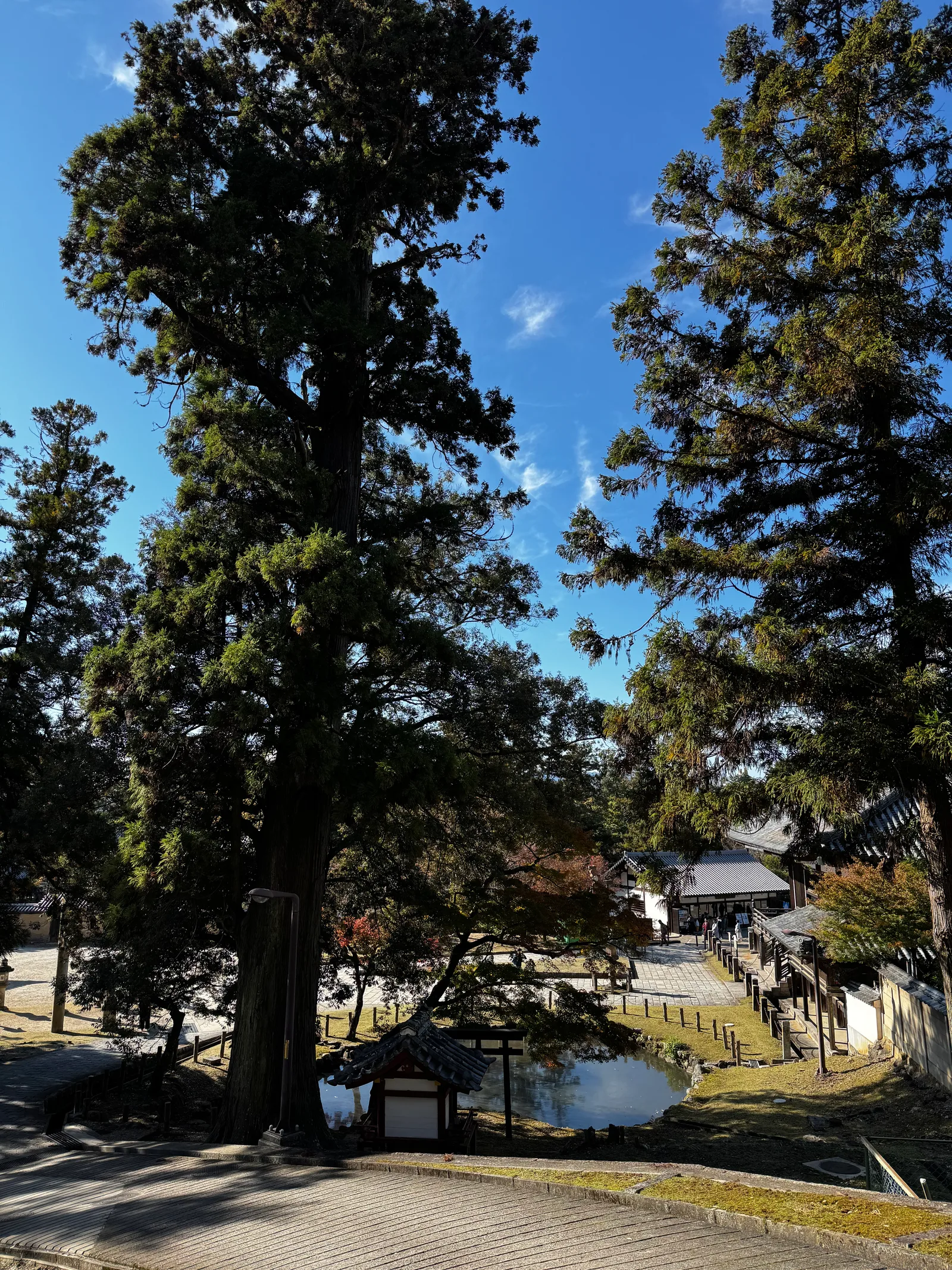 Nara-shi, Japan — 25 November 2024