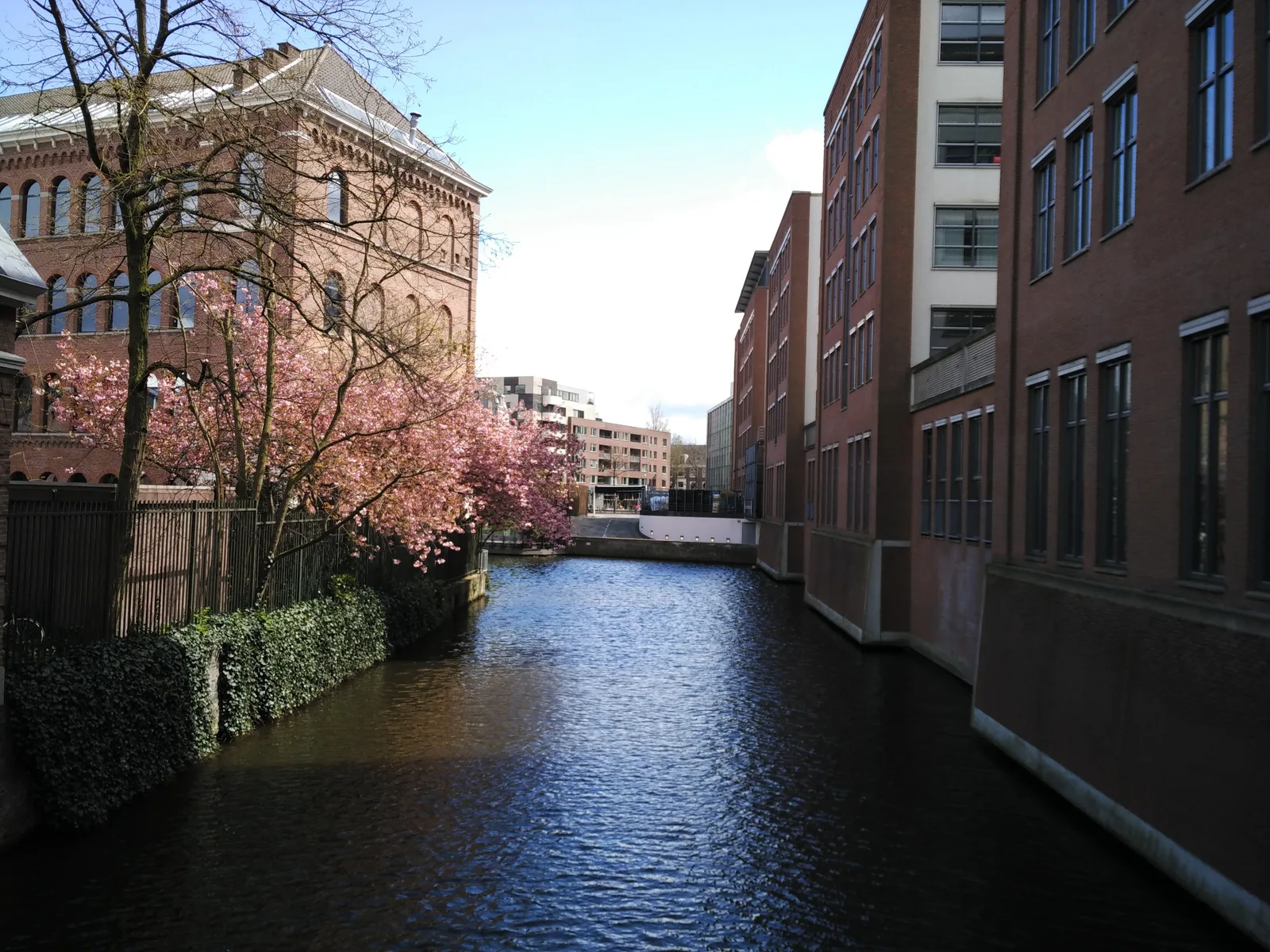 Zuiderkerkbuurt, The Netherlands — 27 April 2016