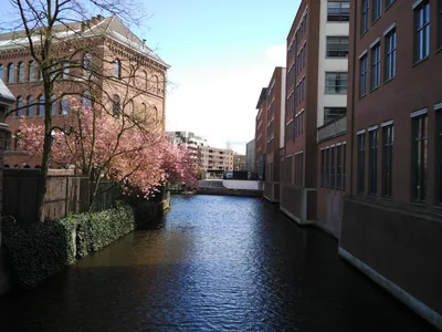 Zuiderkerkbuurt, The Netherlands — 27 April 2016