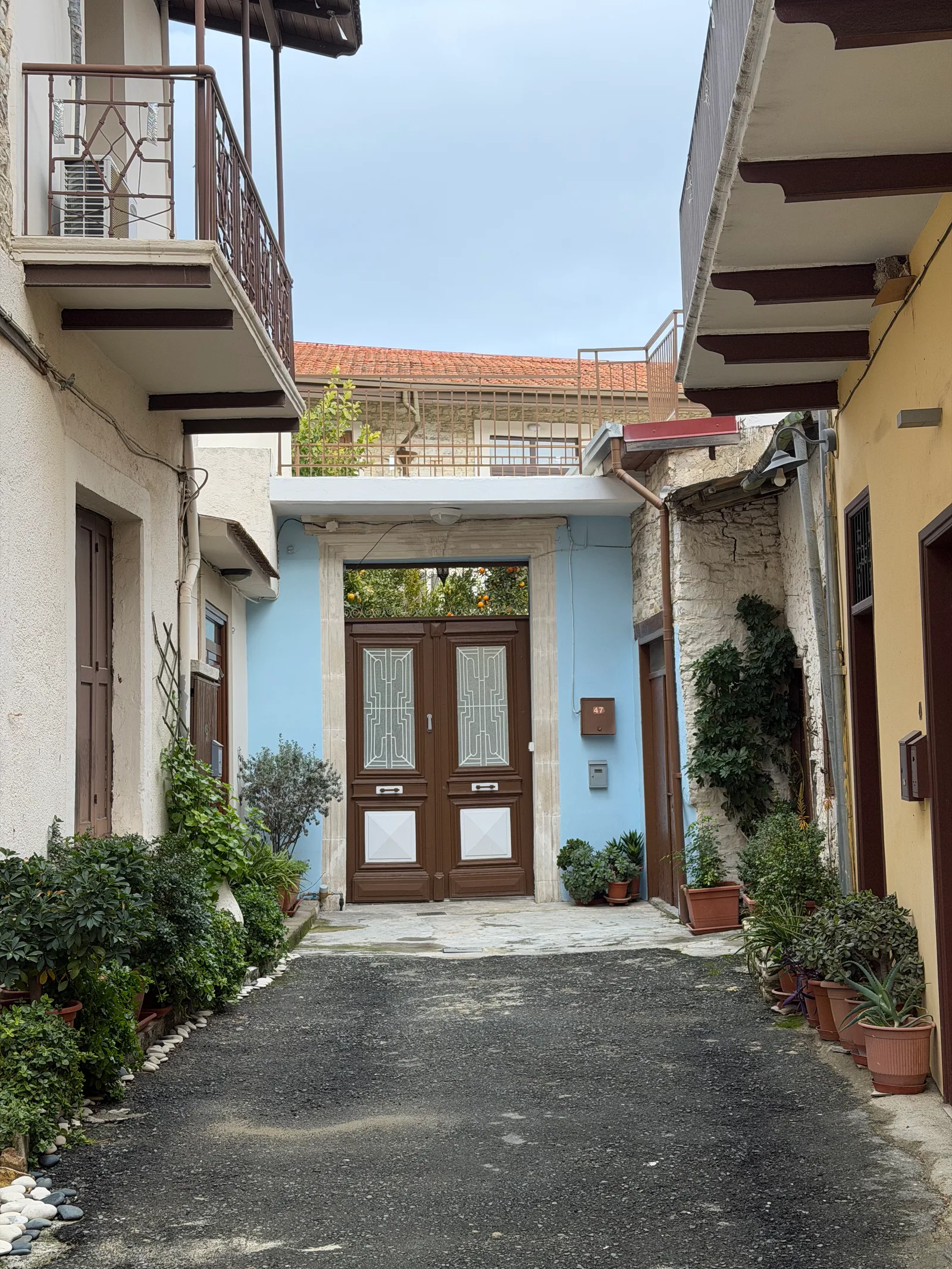 Kofínou, Cyprus — 18 January 2026