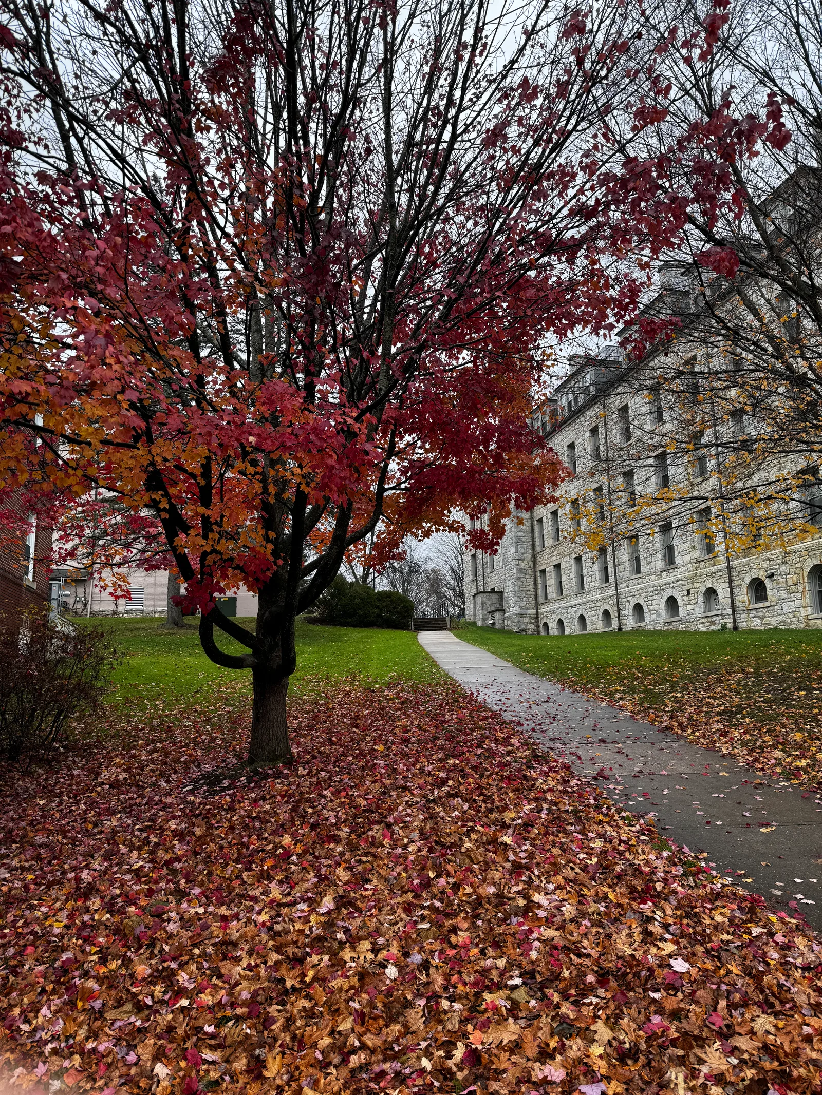 Williamstown, United States — 14 November 2023