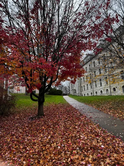 Williamstown, United States — 14 November 2023