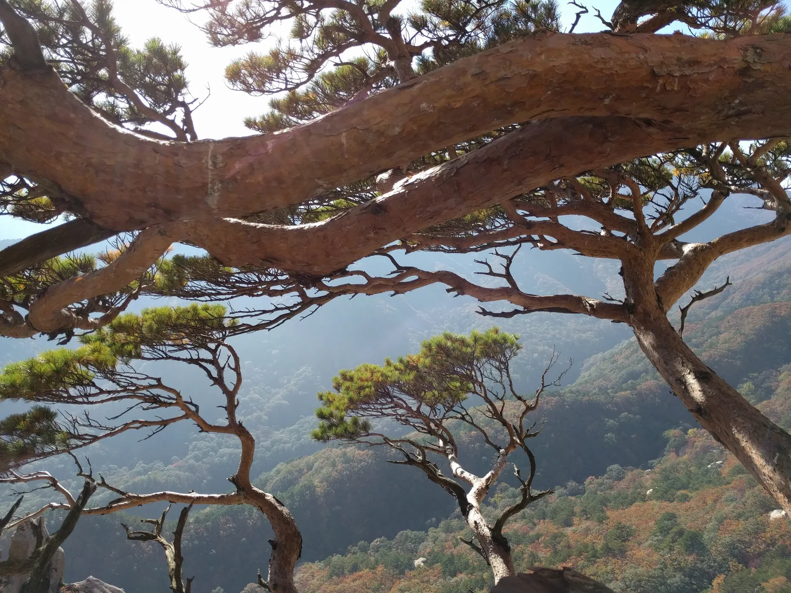 Toseong, South Korea — 19 October 2016