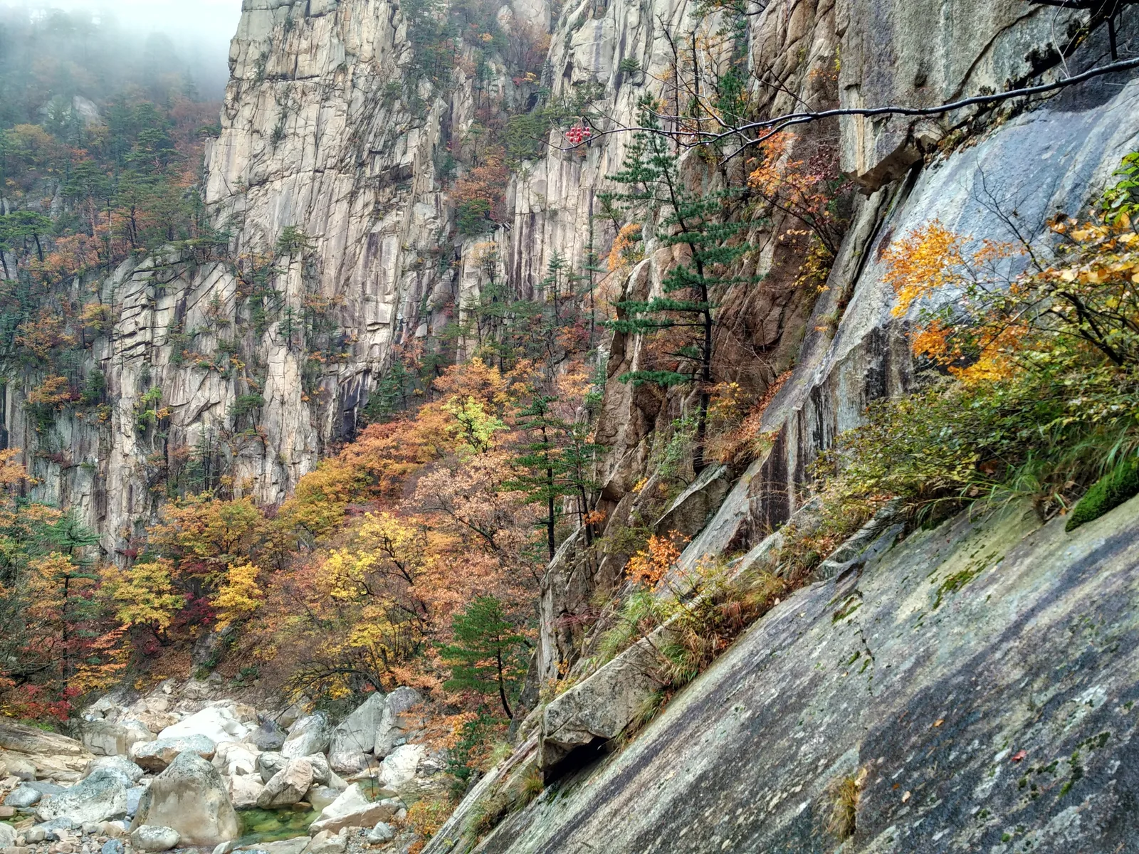 Photo from 21 October 2016