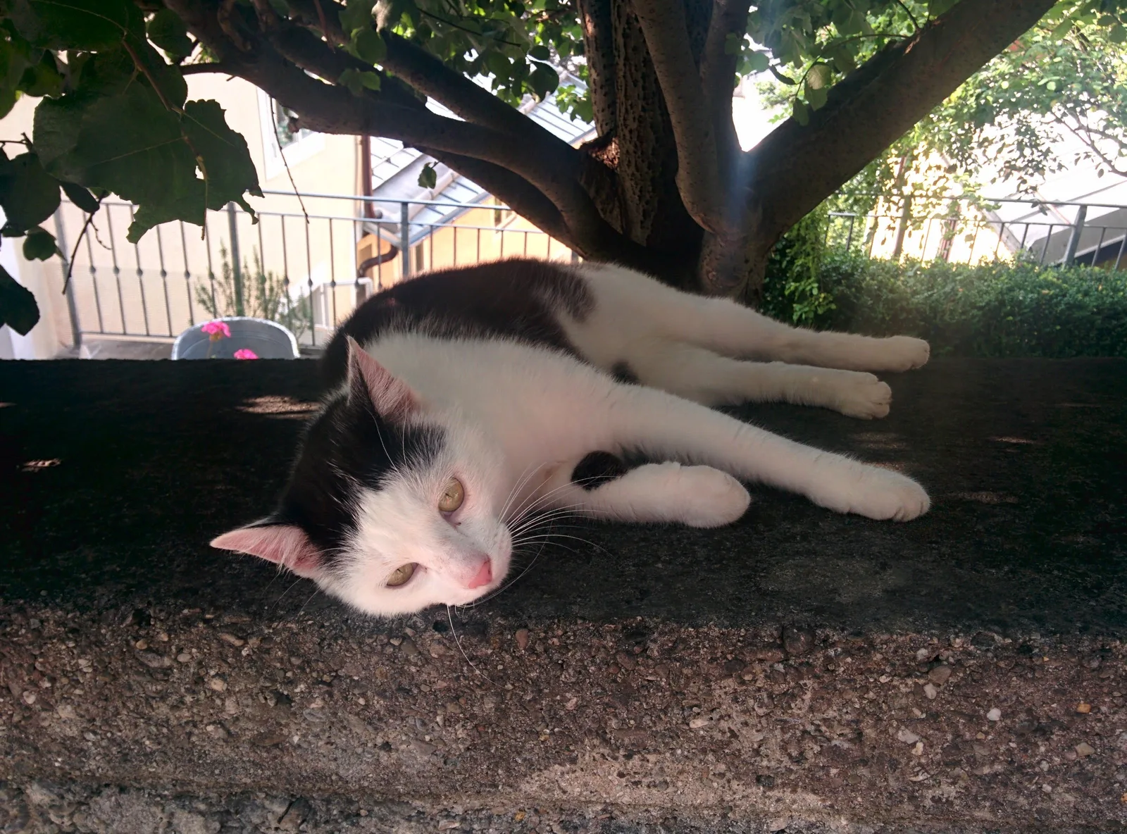 Photo from 14 July 2015
